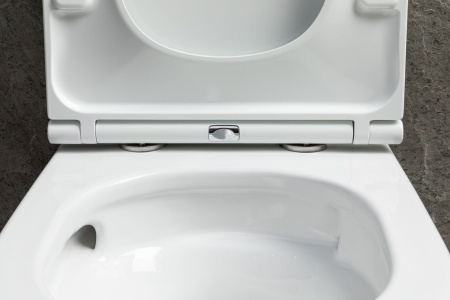 Чаша унитаза подвесная Allen Brau Priority Tornado 4.31009.20 цвет белый без сиденья безободковая душевой смыв