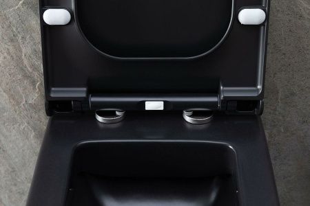Чаша унитаза подвесная Allen Brau Infinity 4.21011.31 цвет черный без сиденья безободковая каскадный смыв