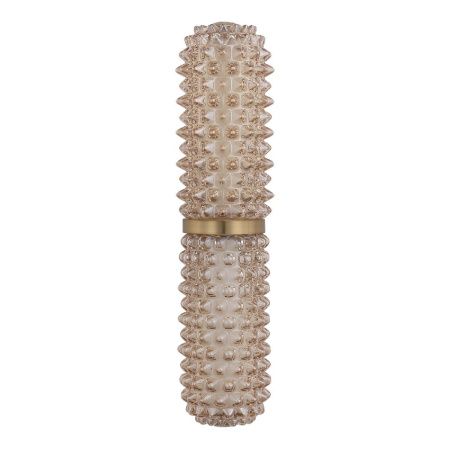 Светильник настенный ST Luce Saguaro (Сагуаро) SL6144.301.01