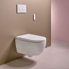 Унитаз-биде подвесной Geberit AquaClean Alba 146.350.01.1 белый с сиденьем микролифт безободковый душевой смыв