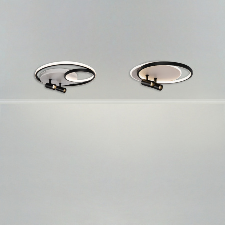 Светильник потолочный Freya Spotlights (Прожекторы) FR6083CL-L90WB