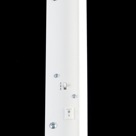 Светильник настенный Citilux Тринити CL238590