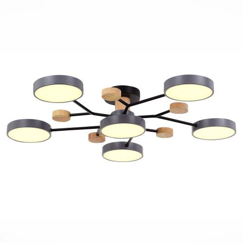 Люстра на штанге Evoluce Faema (Фаема) SLE6006-702-06 - фото 3