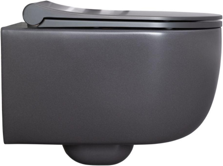 Чаша унитаза подвесная Allen Brau Priority 4.31002.AN цвет черный без сиденья безободковая каскадный смыв