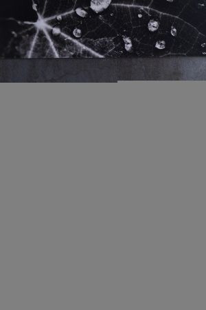 Раковина керамическая Allen Brau Fantasy 4.11022.20 60х40 накладная цвет белый без отверстий под смеситель