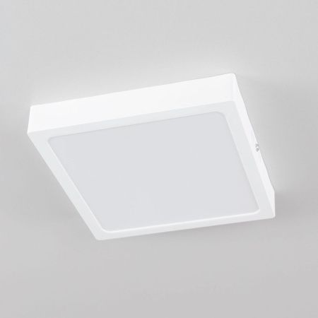 Светильник накладной Citilux Галс CL55K22N