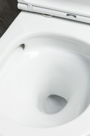 Чаша унитаза подвесная Allen Brau Priority Tornado 4.31008.20 цвет белый без сиденья безободковая душевой смыв