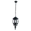 Уличный подвесной светильник Arte Lamp Atlanta (Атланта) A1045SO-1BG