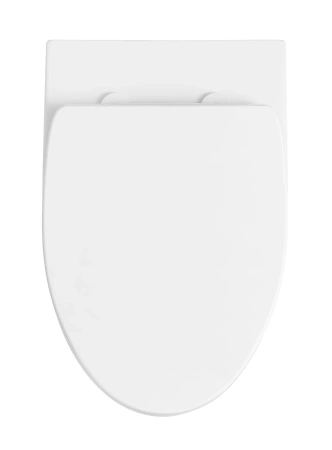 Чаша унитаза подвесная Arrow AHB2162H цвет белый без сиденья безободковая каскадный смыв