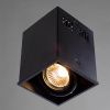 Светильник накладной Arte Lamp Cardani (Цардани) A5942PL-1BK