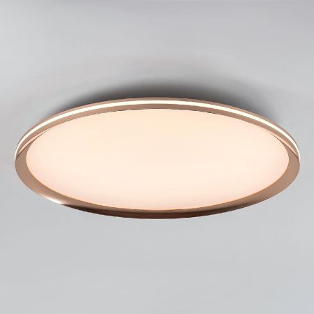 Светильник потолочный LED4U L3020-600 GD