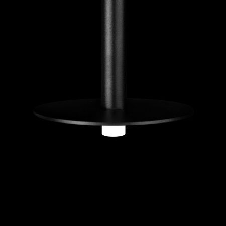 Светильник подвесной Loft It Reed 10358/830 Disk