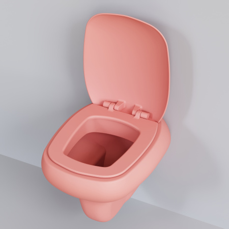 Унитаз подвесной Ambassador Diamond 123T20901R-122T20901 розовый матовый с сиденьем