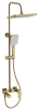 Душевая стойка Belz B507 B24507-5 настенная цвет золото
