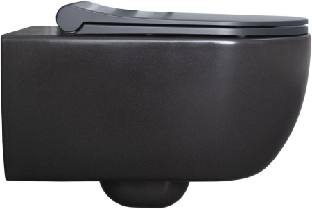 Чаша унитаза подвесная Allen Brau Priority 4.31001.AN цвет черный без сиденья безободковая каскадный смыв