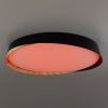 Светильник потолочный музыкальный Citilux Bonny (Бонны) CL754451G