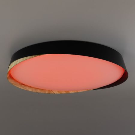 Светильник потолочный музыкальный Citilux Bonny (Бонны) CL754451G