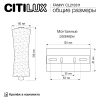 Светильник настенный Citilux Fanny (Фанны) CL213311