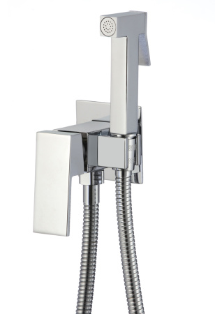Смеситель с гигиеническим душем D-Lin D183201 настенный хром