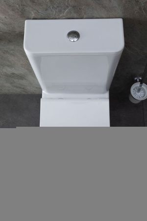 Чаша унитаза напольная Allen Brau Infinity 4.21012.20 цвет белый без бачка с сиденьем микролифт безободковая каскадный смыв