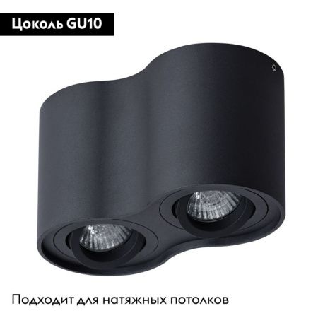 Светильник потолочный Arte Lamp Falcon (Фалцон) A5645PL-2BK