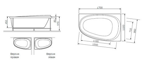 Экран для ванны Am.Pm Like W80A-170U110W-P - фото 3