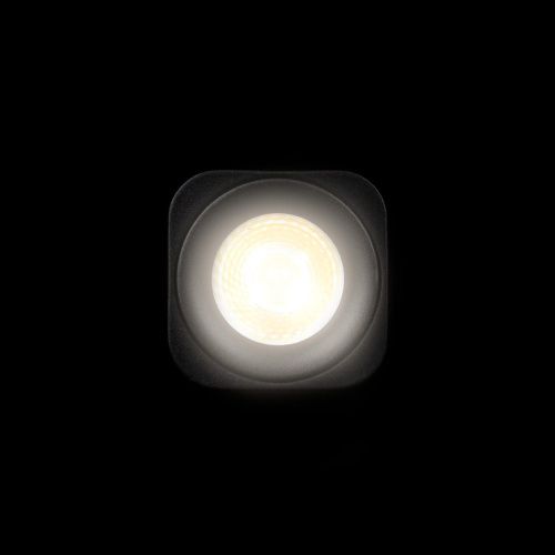 Светильник накладной Loft It Cup 10329 Black - фото 4