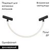 Трековый однофазный светильник Denkirs Smart Ray (Смарт Раы) DK8060-BK