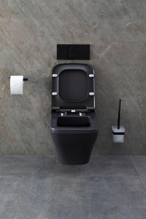 Чаша унитаза подвесная Allen Brau Infinity 4.21011.AN цвет черный без сиденья безободковая каскадный смыв