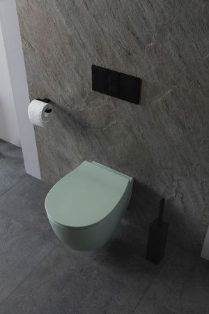 Чаша унитаза подвесная Allen Brau Fantasy 4.11004.MT цвет зеленый без сиденья безободковая каскадный смыв