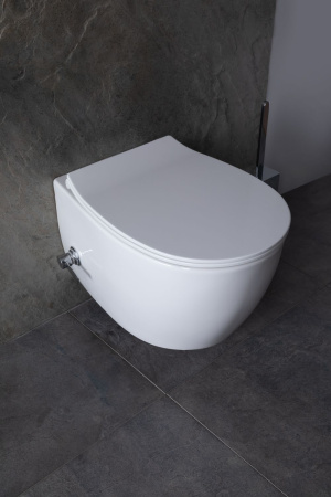 Чаша унитаза подвесная Allen Brau Fantasy 4.11HC1.20 цвет белый без сиденья безободковая каскадный смыв