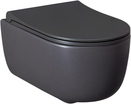 Чаша унитаза подвесная Allen Brau Priority 4.31002.AN цвет черный без сиденья безободковая каскадный смыв
