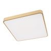 Светильник потолочный Loft It Flims 10228/D