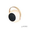 Настольная лампа iLedex Giggle (Гиггле) EYS0970-CH WH