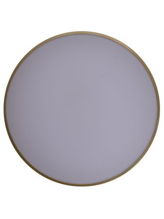 Светильник потолочный Zortes Gabby (Габбы) ZRS.90610.50