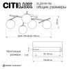 Люстра потолочная Citilux Dorsy (Дорсы) CL223151