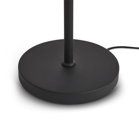 Светильник напольный Freya Aqua FR5553FL-L20B