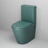 Унитаз напольный с бачком Grossman Color GR-4480OLMS зеленый с сиденьем безободковый каскадный смыв