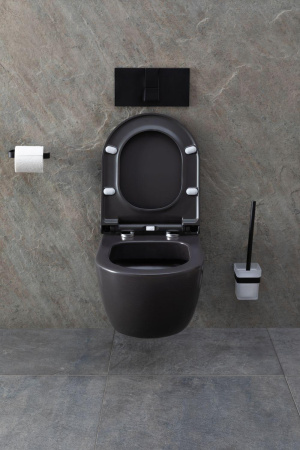 Чаша унитаза подвесная Allen Brau Priority 4.31001.AN цвет черный без сиденья безободковая каскадный смыв