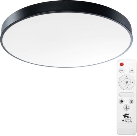 Светильник накладной Arte Lamp Arena (Арена) A2673PL-1BK
