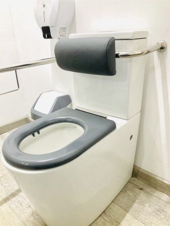 Поручень-опора с подушкой для инвалидов в санитарно-гигиенические комнаты Dstrana  8333