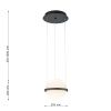 Светильник подвесной Favourite Ringar (Рингар) 4502-1P