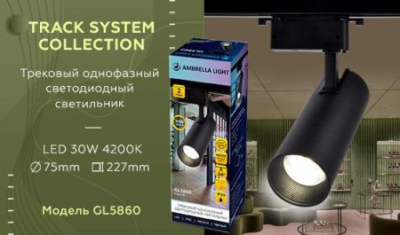 Трековый однофазный светильник Ambrella Light Track System (Трацк Сыстем) GL5860