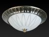 Светильник накладной Toplight Paulina (Паулина) TL5050Y-02AB