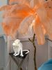 Торшер Delight Collection Ostrich Feather (Острицх Феатхер) BRFL5014 pink/antique brass