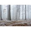 Светильник подвесной Simple Story 1095 1095-1PL