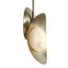 Светильник подвесной ST Luce Pearl (Пеарл) SL6229.203.02
