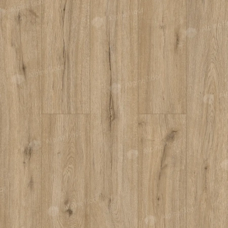 SPC ламинат Alpine Floor Solo ECO 14-6 MC Ларго толщина 0.35 см 34 класс 1220х183