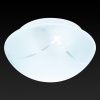 Настенно-потолочный светильник Toplight Sandra (Сандра) TL9410Y-02WH