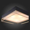 Люстра потолочная ST Luce CHODO (ЦХОДО) SL1127.422.05